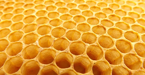 L'Asnoisien – Miellerie des Combes