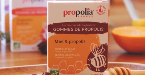 - Gommes de propolis et miel - gommes-de-propolis-miel